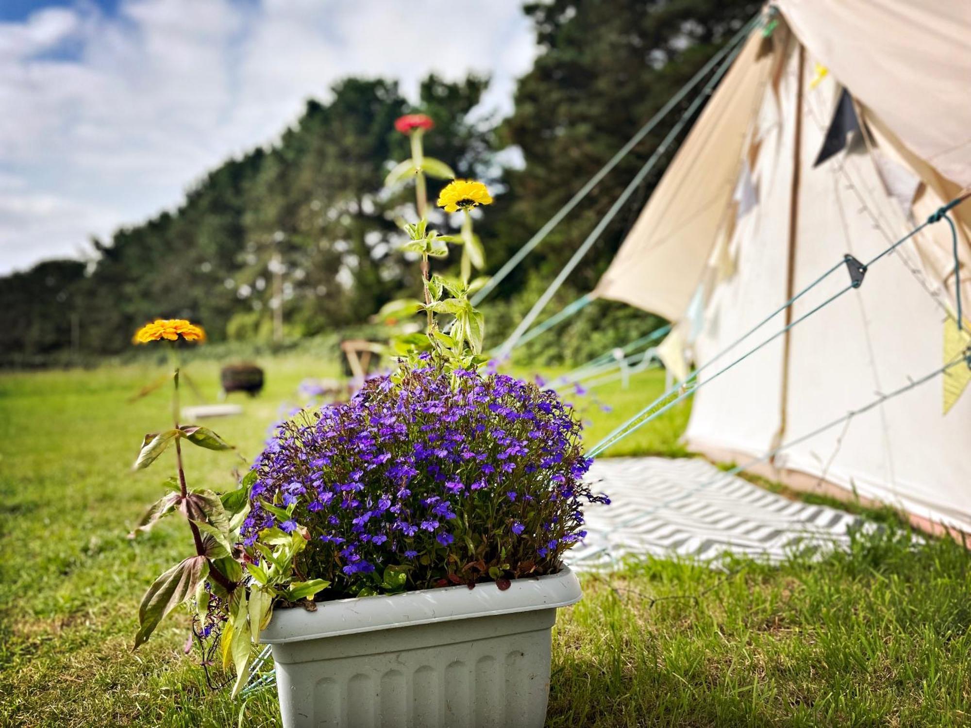 Trevena Cross Glamping & Camping Хелстон Экстерьер фото